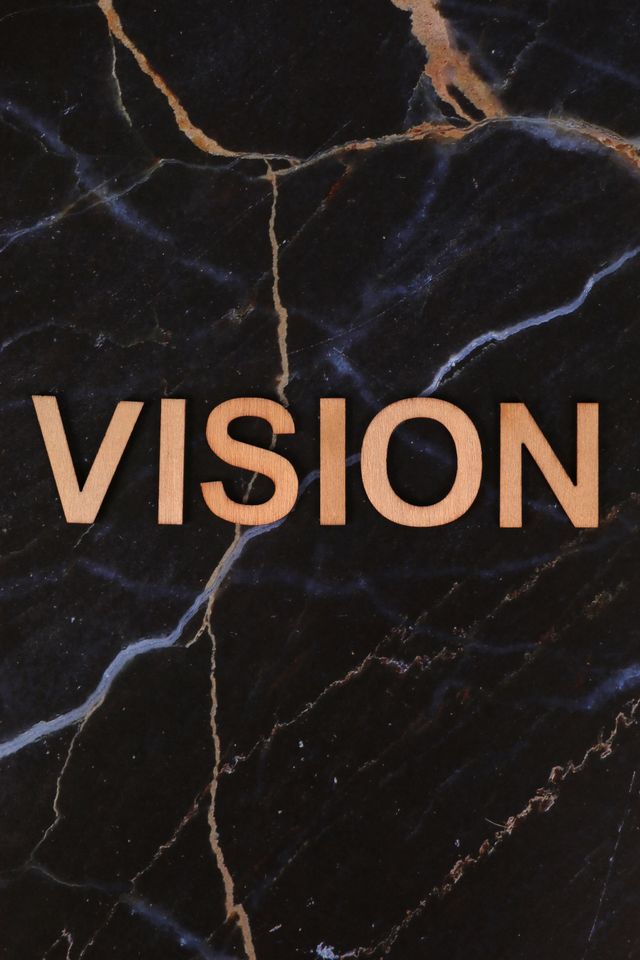 Vision